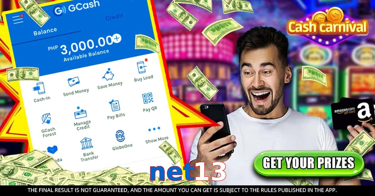 net13