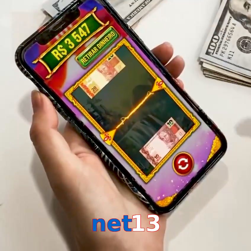 net13