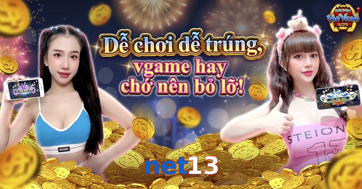 net13