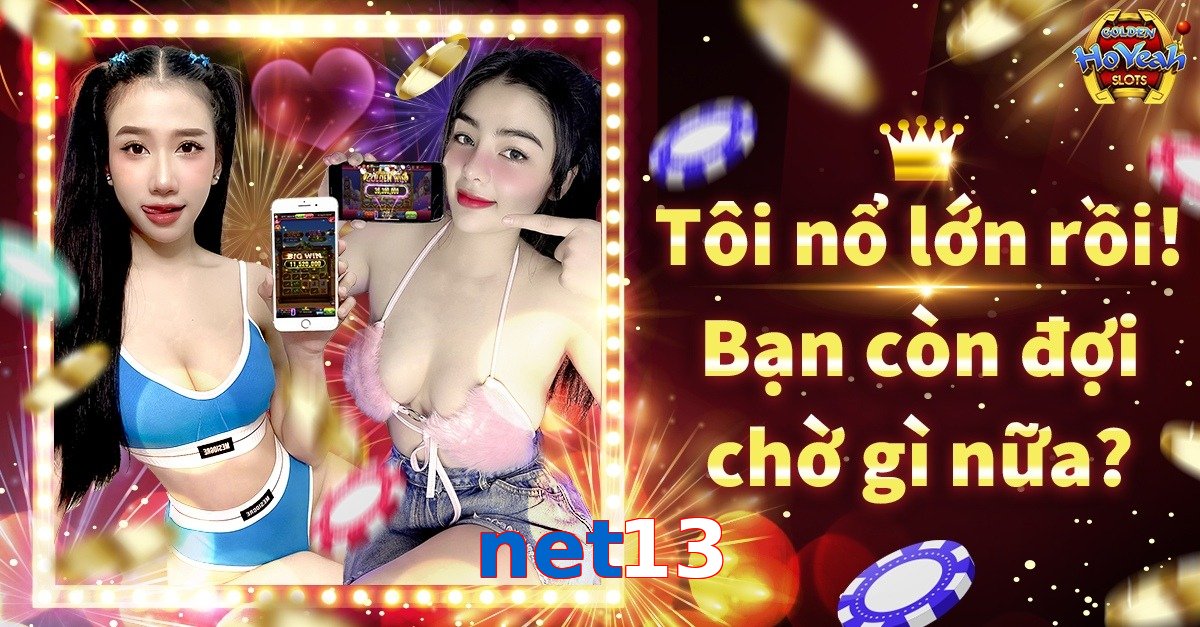 net13